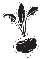 Silver Beets